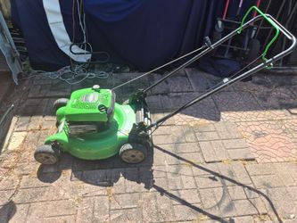 Lawnmower push with bag