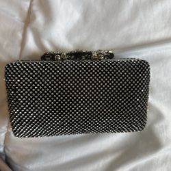 Formal Fancy Purse