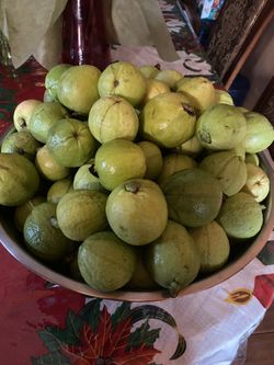 Guavas/ Guayabas 