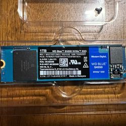 WD Blue SSD 1TB NVMe 