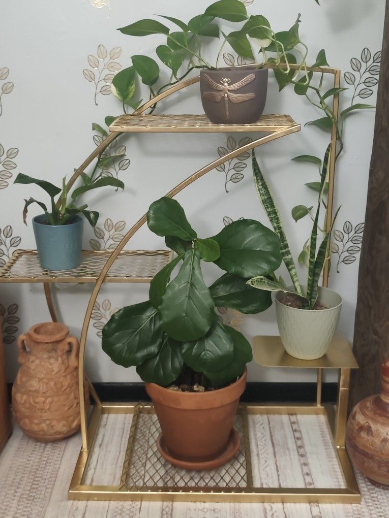 Plant Holder