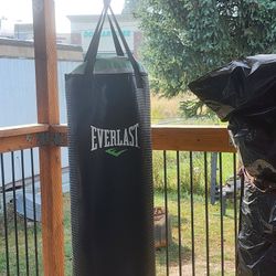 EVERLAST Punching Bag