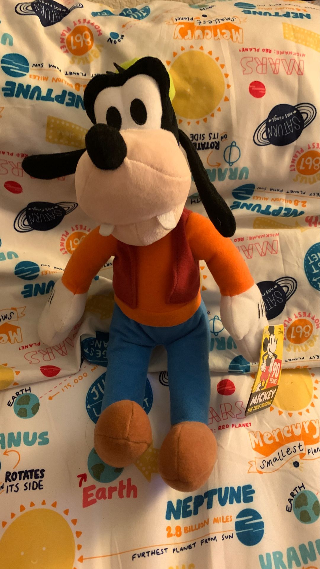 Goofy Stuffed Animal