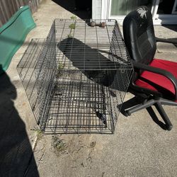 Dog Cage 