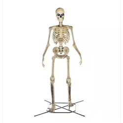 12 Ft Home Depot Skeleton