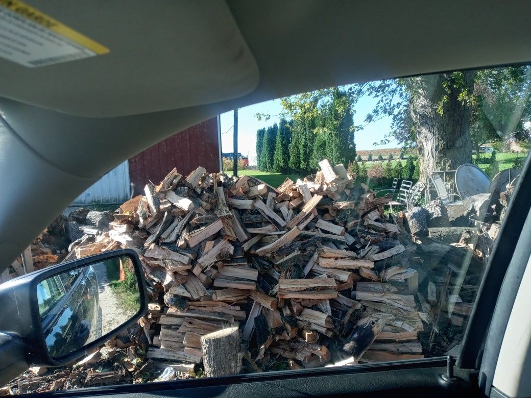 Firewood