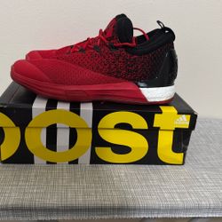 Adidas Crazylight Boost Sze 11