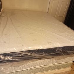 New sealy sleepys queen memory foam mattress only