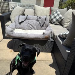 Funny Fuzzy Car Dog Bed