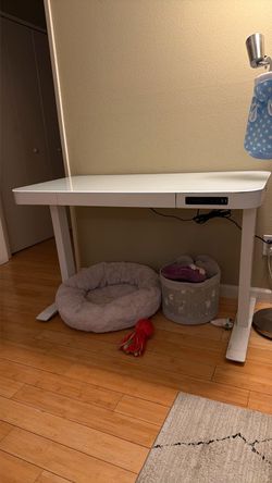 White Glass-Top Electric Standing Desk – $200 OBO