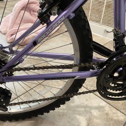 Bike Purple 