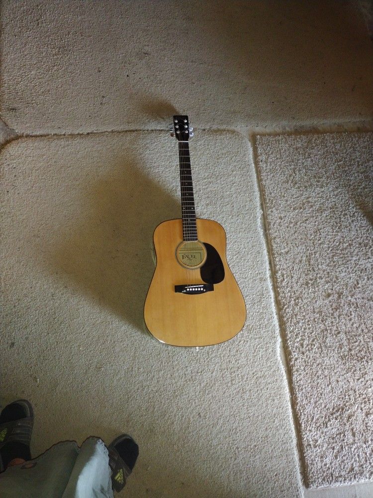 Guitar