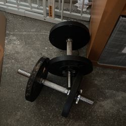 Two (2) Dumbbells - 25lbs Each 