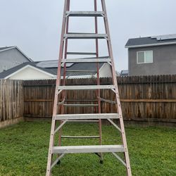 12ft Ladder