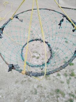 Crab net