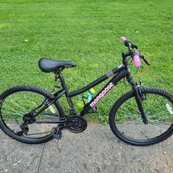 24 Inch Mongoose Mountain Bike