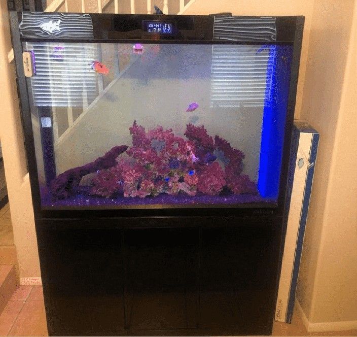 friend capital Large Full-Sized Fish Tank – A Beautiful Centerpiece for Your Home
