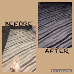 🚨🚨LIMPIEZA DE ALFOMBRAS 