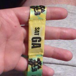 Lollapalooza Saturday GA
