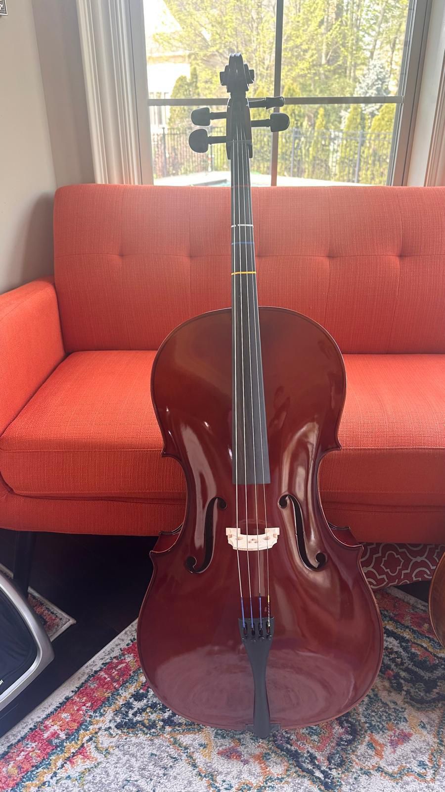Samuel Shen Cello For Sale