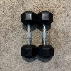 Dumbbells - Pair of 12s - Total 24 Pounds 