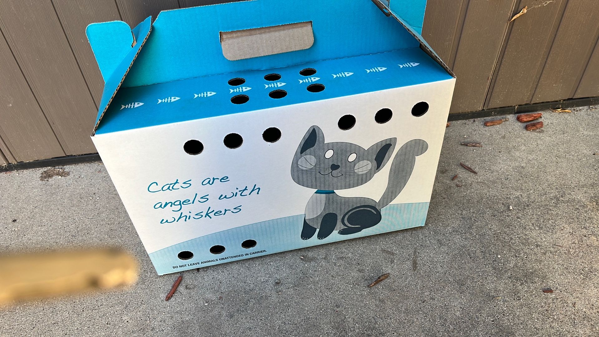 Cat 🐈 Carrier