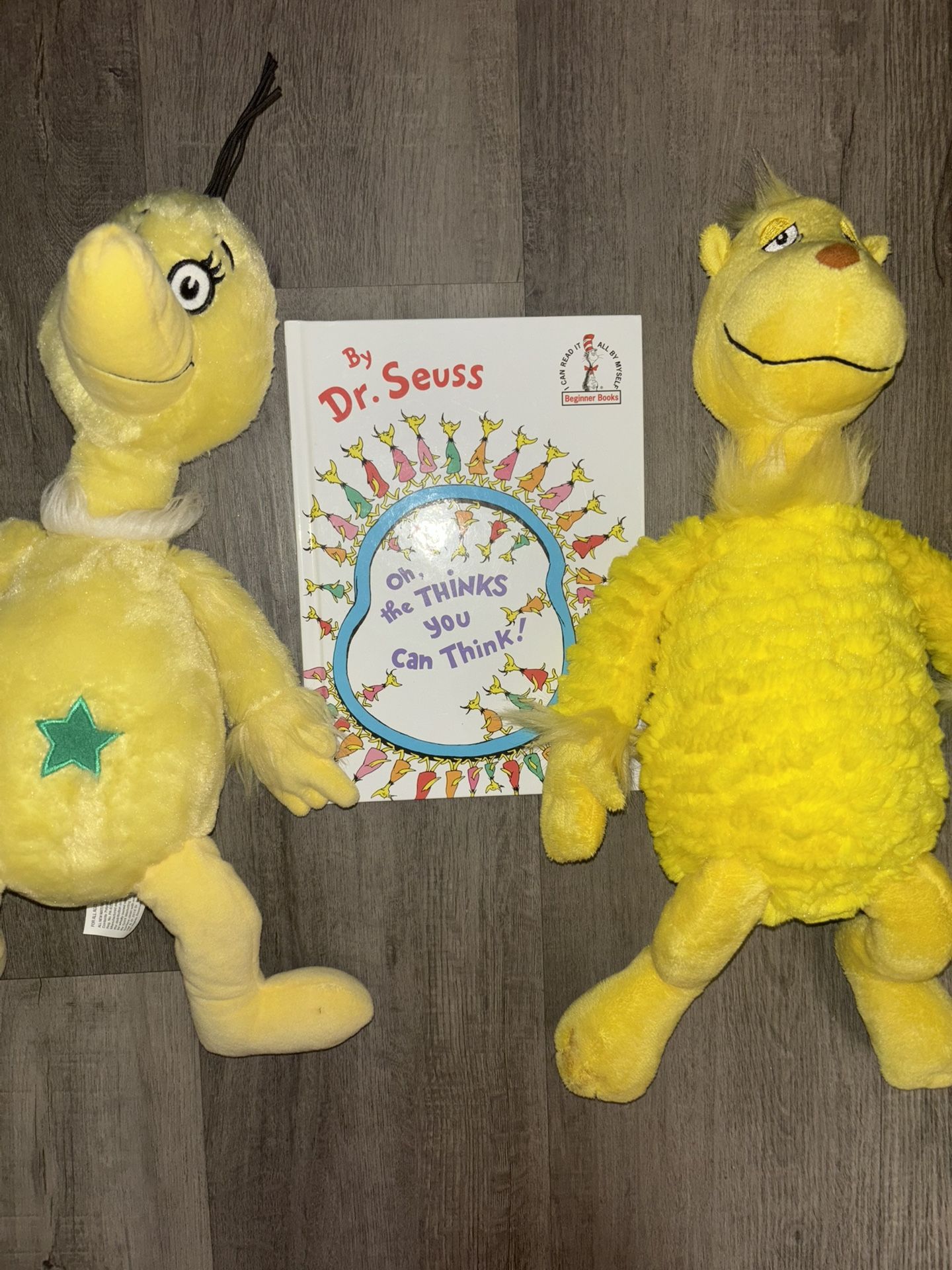 Dr Seuss Book and 2 Plushes