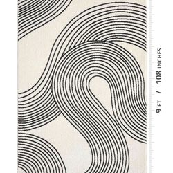 Brand New Area Rug Never Used. 