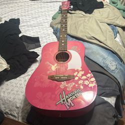 Washburn Acoustic Hannah Montana