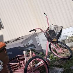 Adult Tricycle Pink