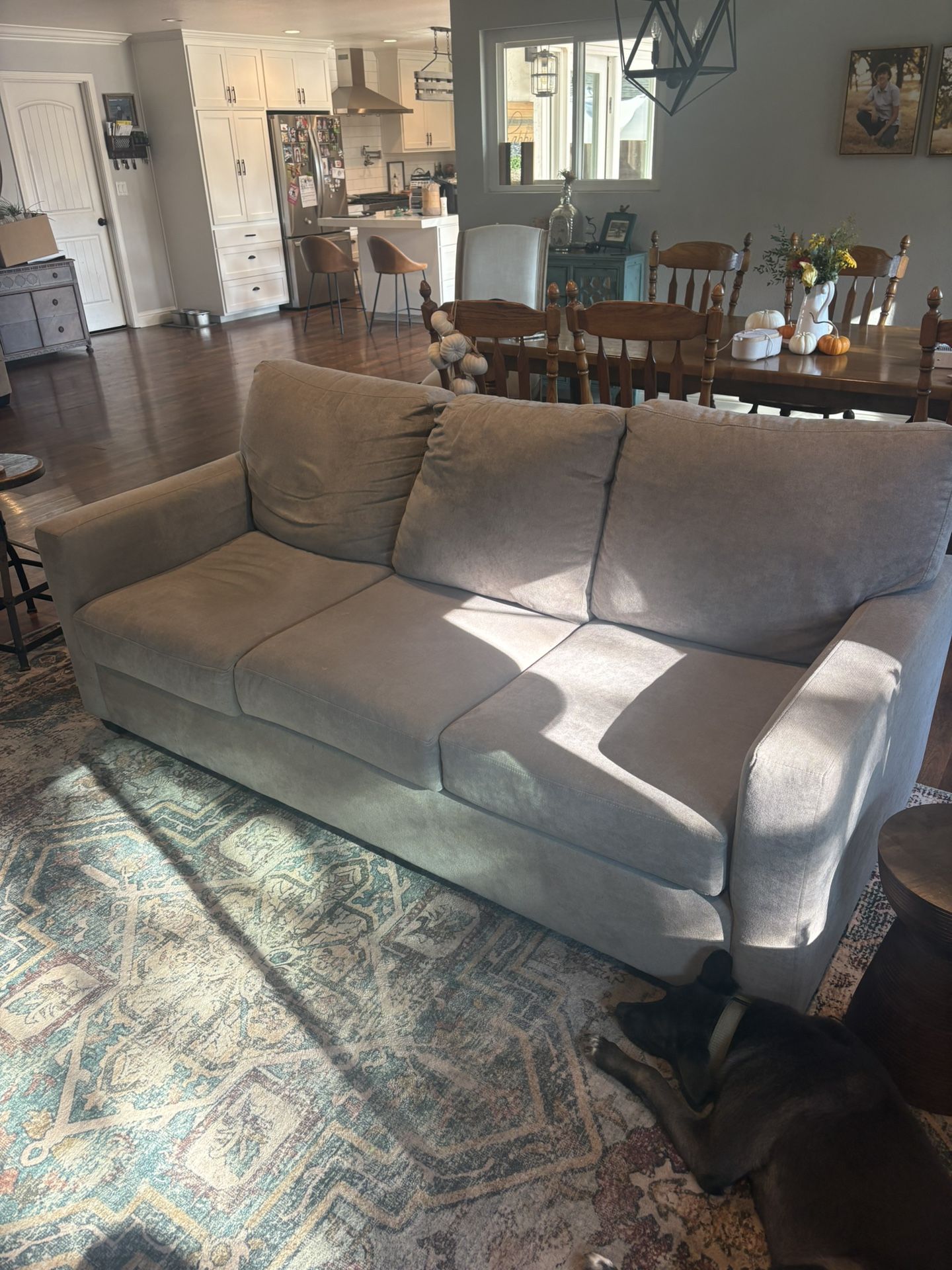 Couch / Futon Sleeper Sofa