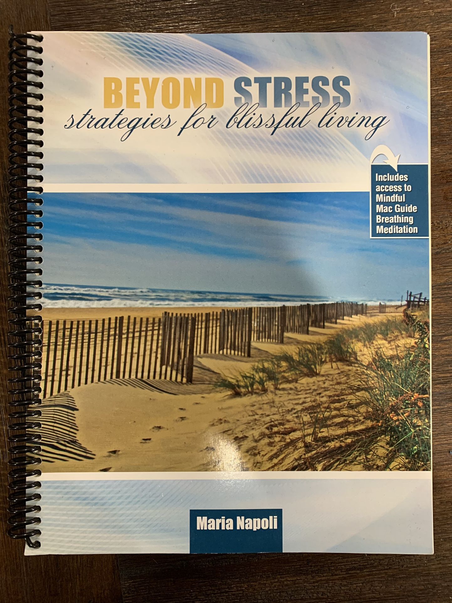 Beyond Stress: Strategies for Blissful Living