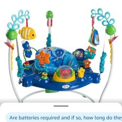 Baby Einstein: Baby Bouncer