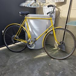 Large frame Raleigh Bicycle