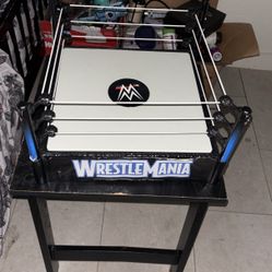 WWE Toy Ring 