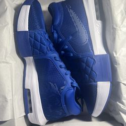 Nike Lebron Witness VIII TB