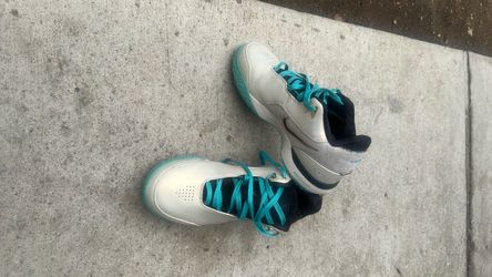 Nike LeBron