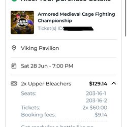 Medieval MMA Fight
