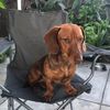 Nathalie