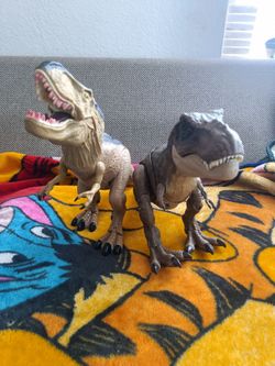 Tyrannosaurus Rexes