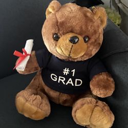 Graduation Teddy Bear 