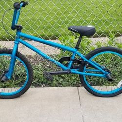 Hoffman Scarab 18" BMX bike