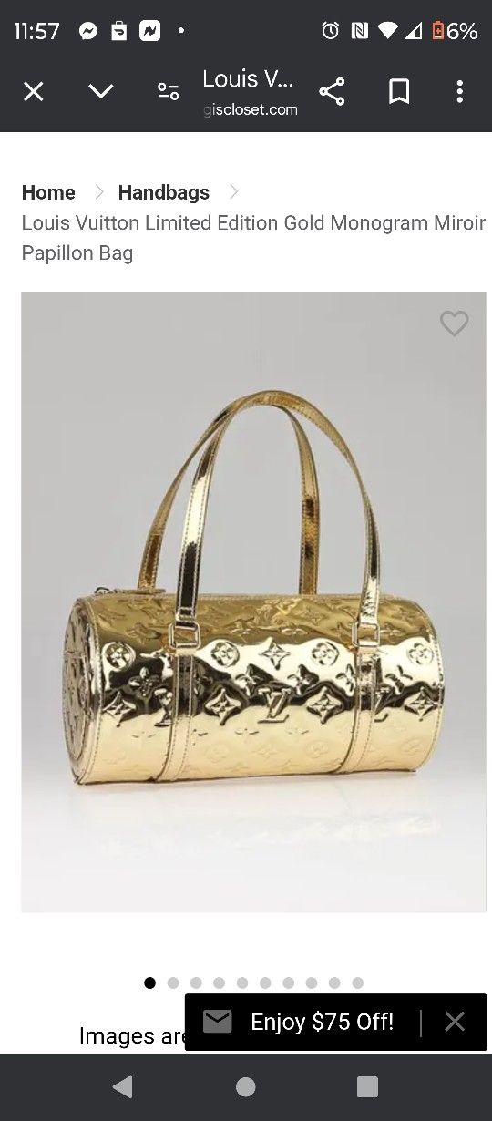 Louis Vuitton Purse