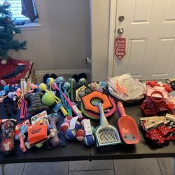 Business Owners Only !