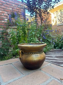 Terracota Pot
