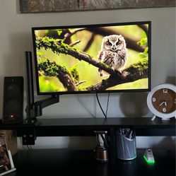 24in 1080p Gaming Monitor And Mount