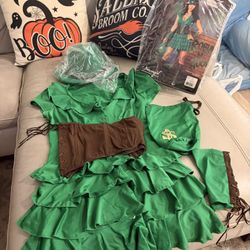 Dreamgirl Robyn da Hood Costume, Size Large