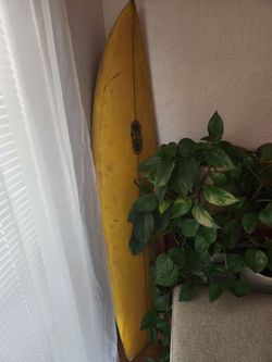 1973 Custom Surfboard Restored and Water Tight READY TO RIP