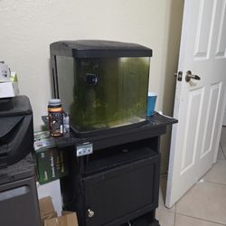 12 Gal Bio Cube Tank