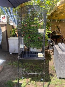 Bird cage